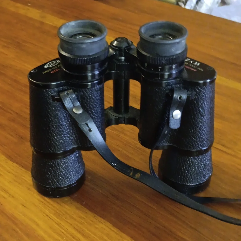 Black Binoculars